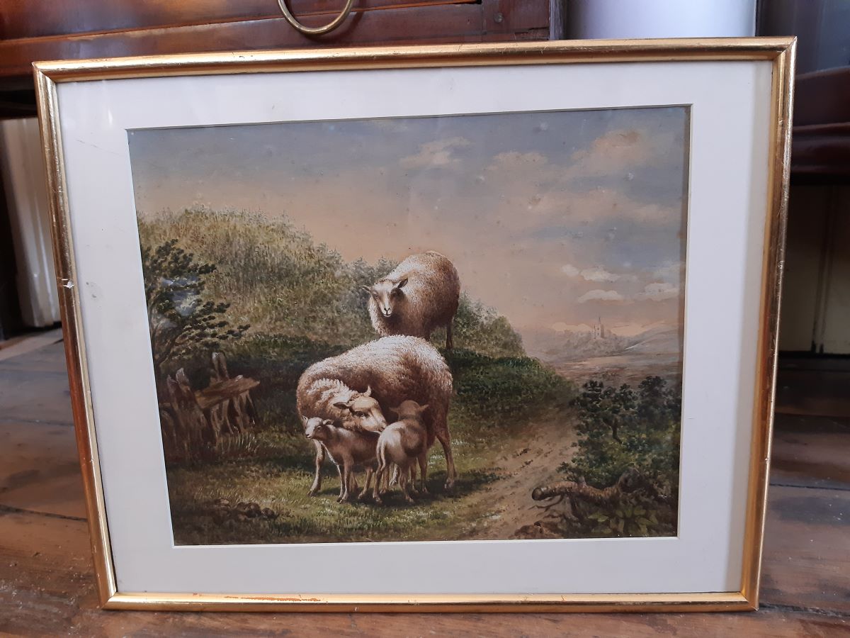 19th century watercolour of sheep